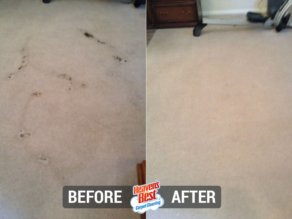 Heaven's Best Carpet Cleaning Round Rock TX