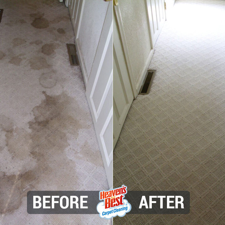 Heaven's Best Carpet Cleaning Round Rock TX